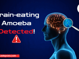 Brain eating Amoeba Detected, www.webposts.com