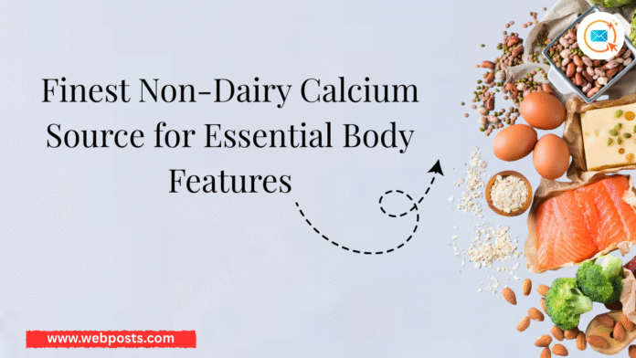 Non-Dairy-Calcium-Source