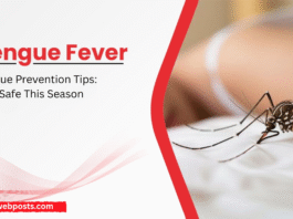 Dengue Prevention Tips: Stay Safe This Season Dengue Prevention Tips Stay Safe This Season www.webposts.com